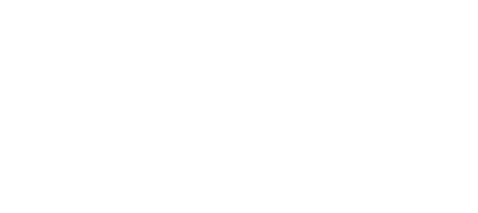 logo ineo